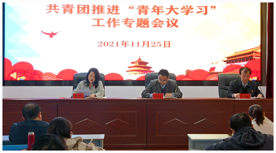 我校召开“青年大学习”工作推进会 我校召开“青年大学习”工作推进会