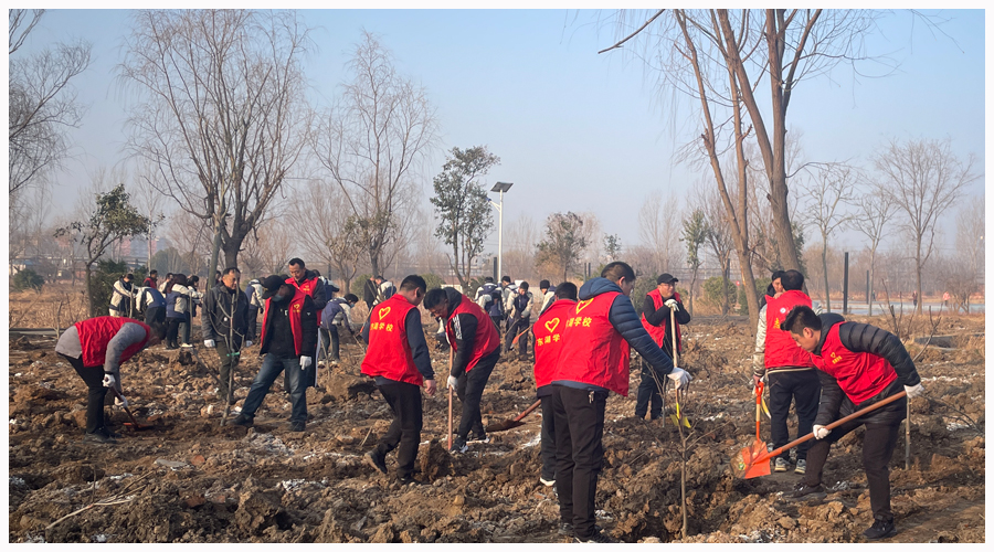 我校参加冬季义务植树活动 我校参加冬季义务植树活动