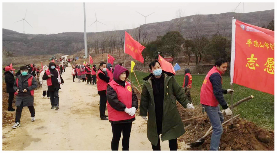 我校参加新年义务植树活动 我校参加新年义务植树活动